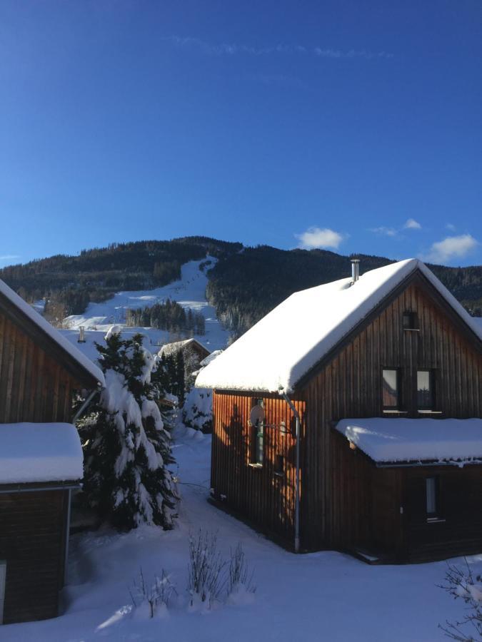 Alpenferienhaus Kreischberg Sankt Lorenzen ob Murau Exteriér fotografie