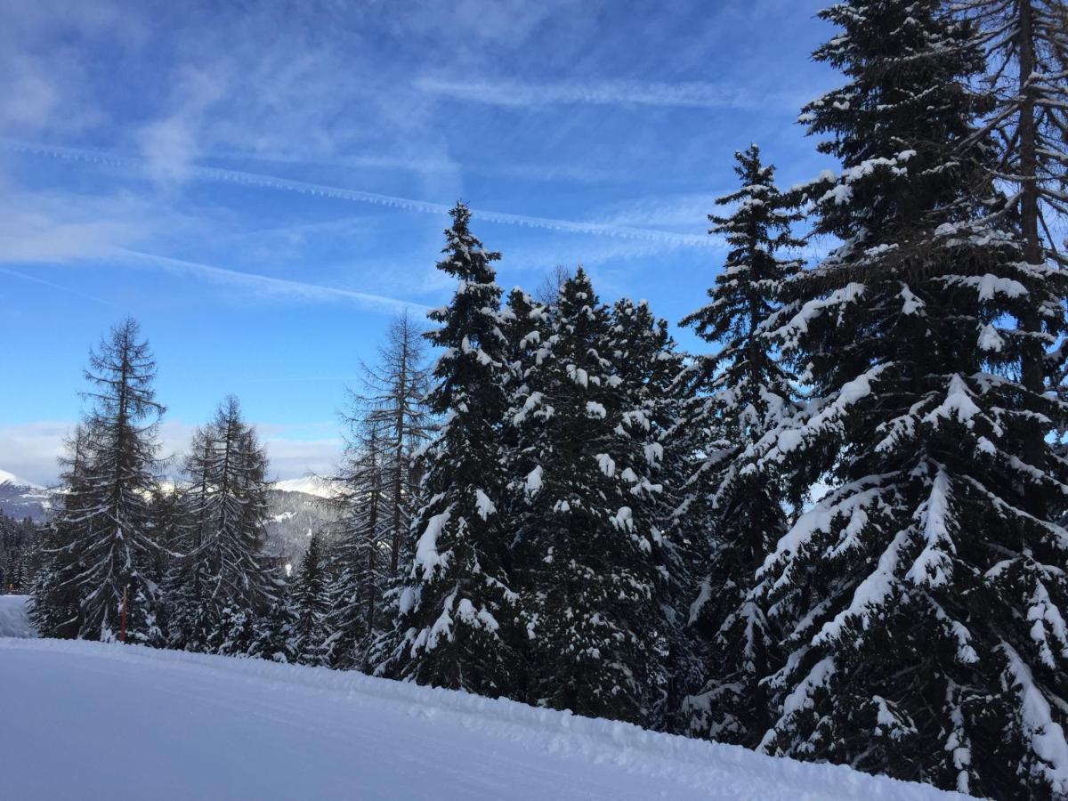 Alpenferienhaus Kreischberg Sankt Lorenzen ob Murau Exteriér fotografie