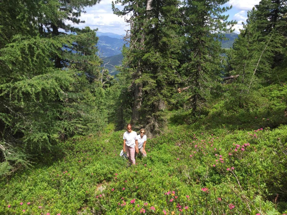 Alpenferienhaus Kreischberg Sankt Lorenzen ob Murau Exteriér fotografie