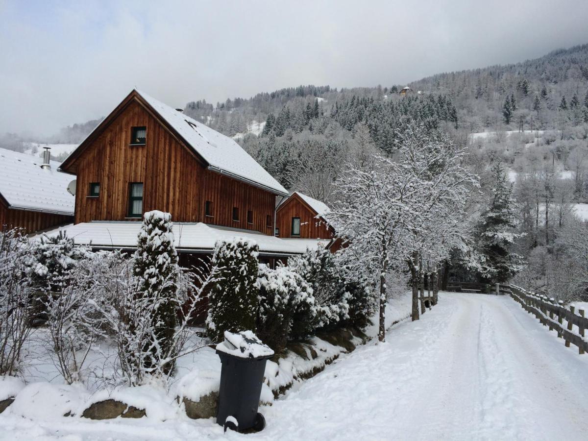 Alpenferienhaus Kreischberg Sankt Lorenzen ob Murau Exteriér fotografie