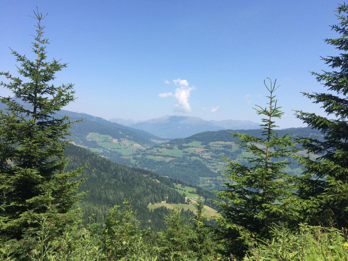 Alpenferienhaus Kreischberg Sankt Lorenzen ob Murau Exteriér fotografie